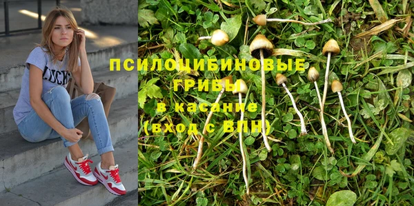 марки lsd Краснослободск
