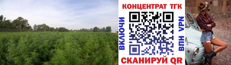 ТГК THC oil  Рыбинск 